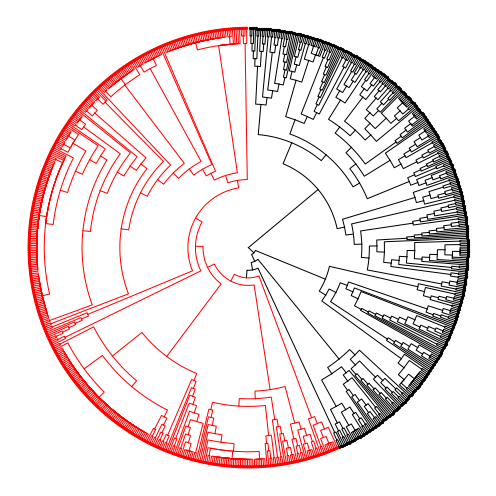 <Figure size 504x504 with 1 Axes>