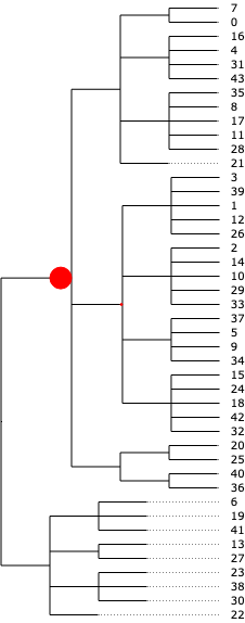 <IPython.core.display.Image object>