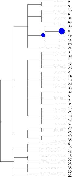 <IPython.core.display.Image object>