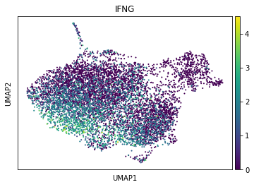 <Figure size 432x288 with 2 Axes>