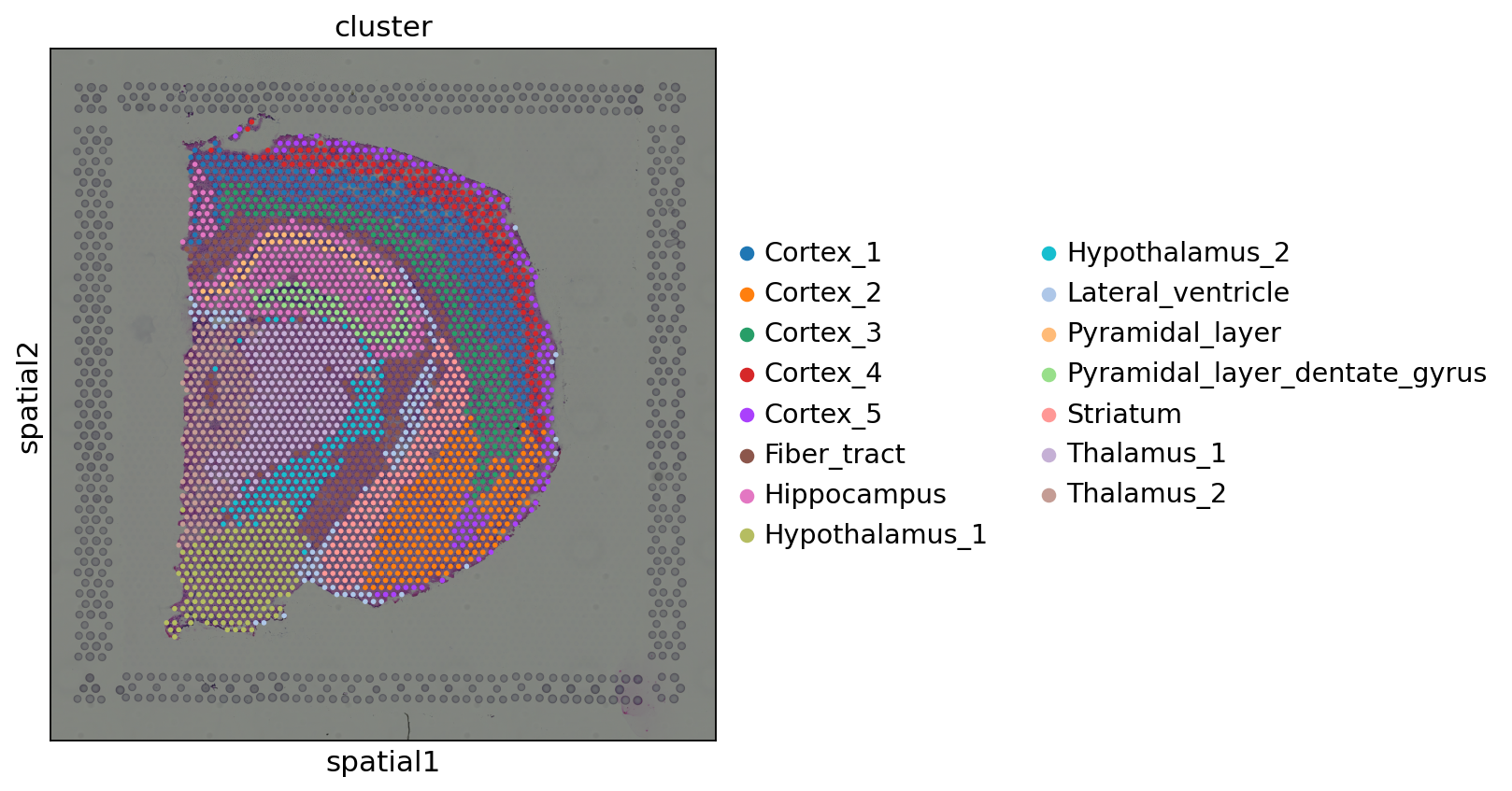 <Figure size 800x800 with 1 Axes>