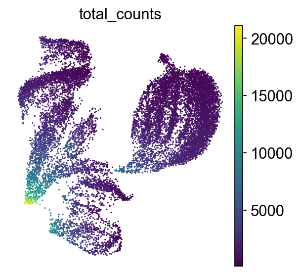 <Figure size 320x320 with 2 Axes>