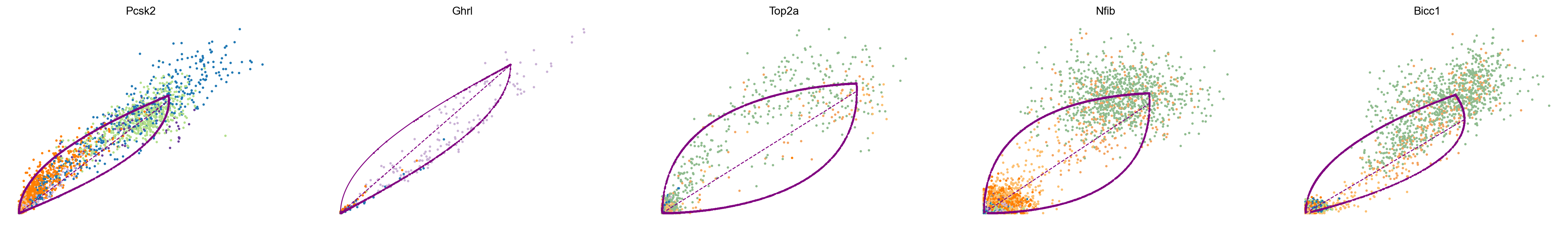 <Figure size 3000x400 with 5 Axes>