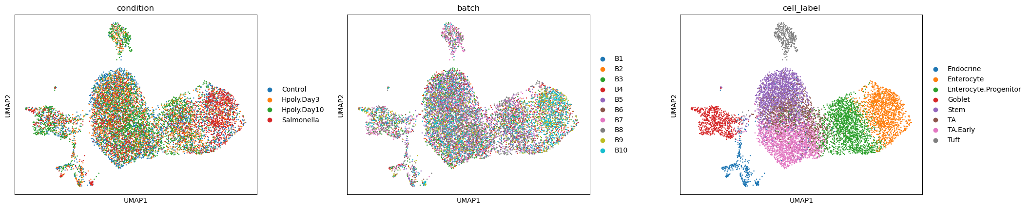 <Figure size 2400x480 with 3 Axes>