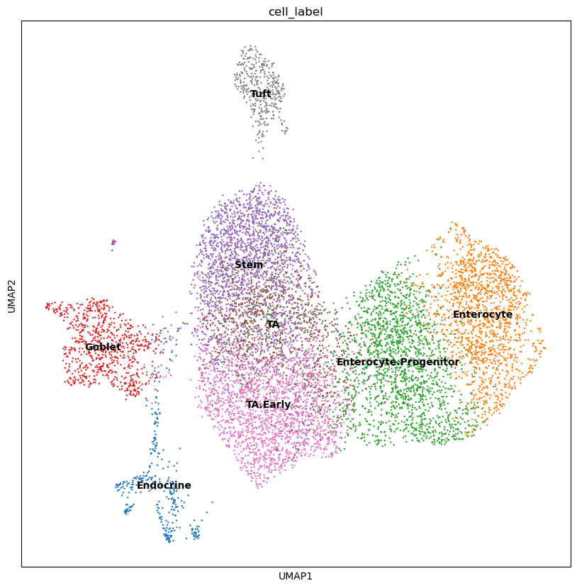 <Figure size 1000x1000 with 1 Axes>