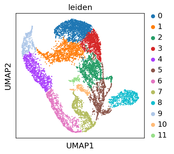 <Figure size 320x320 with 1 Axes>