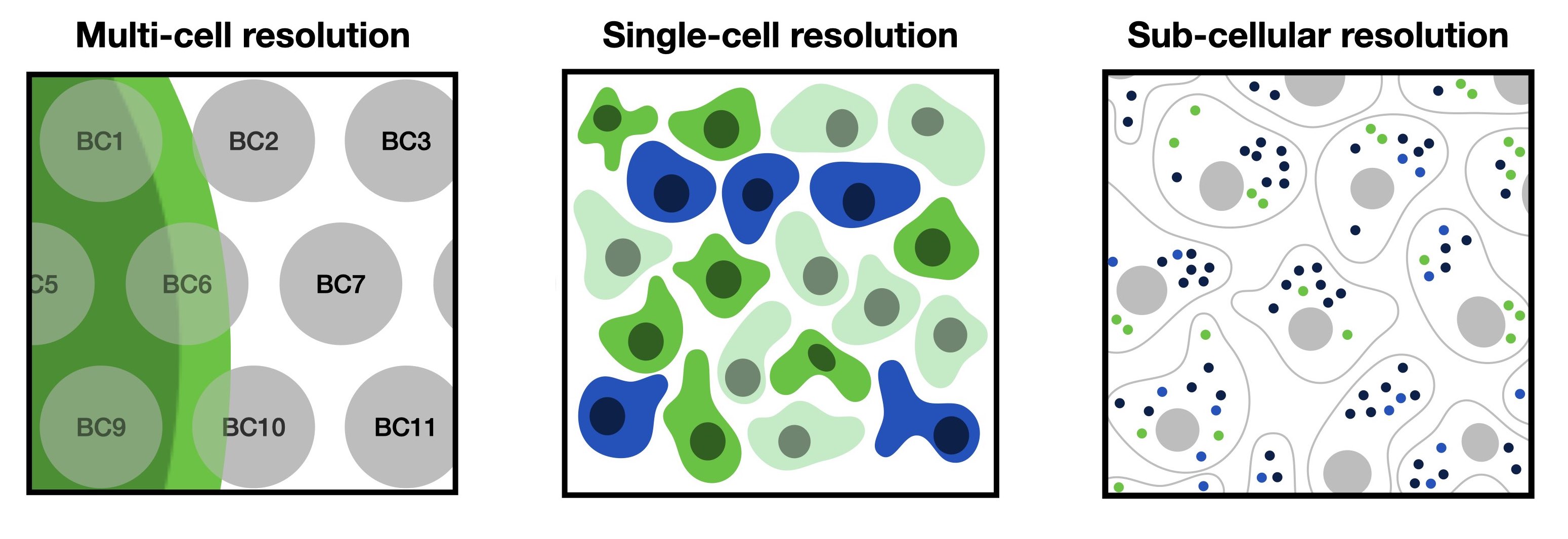 Spatial Omics Resolutions Overview