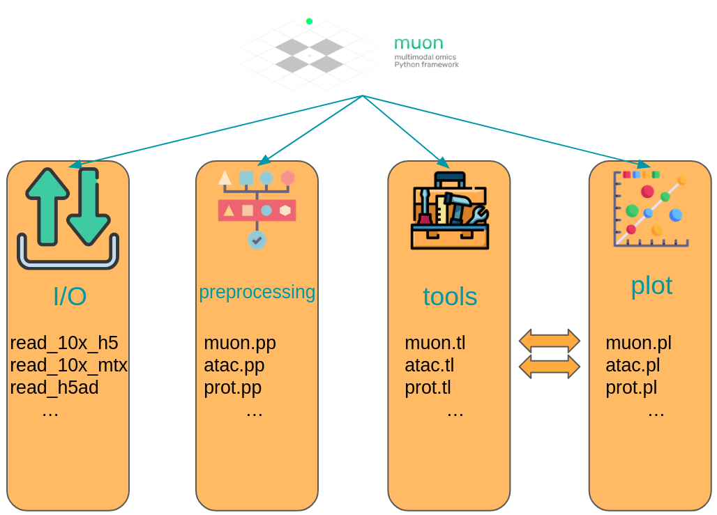 muon API Overview
