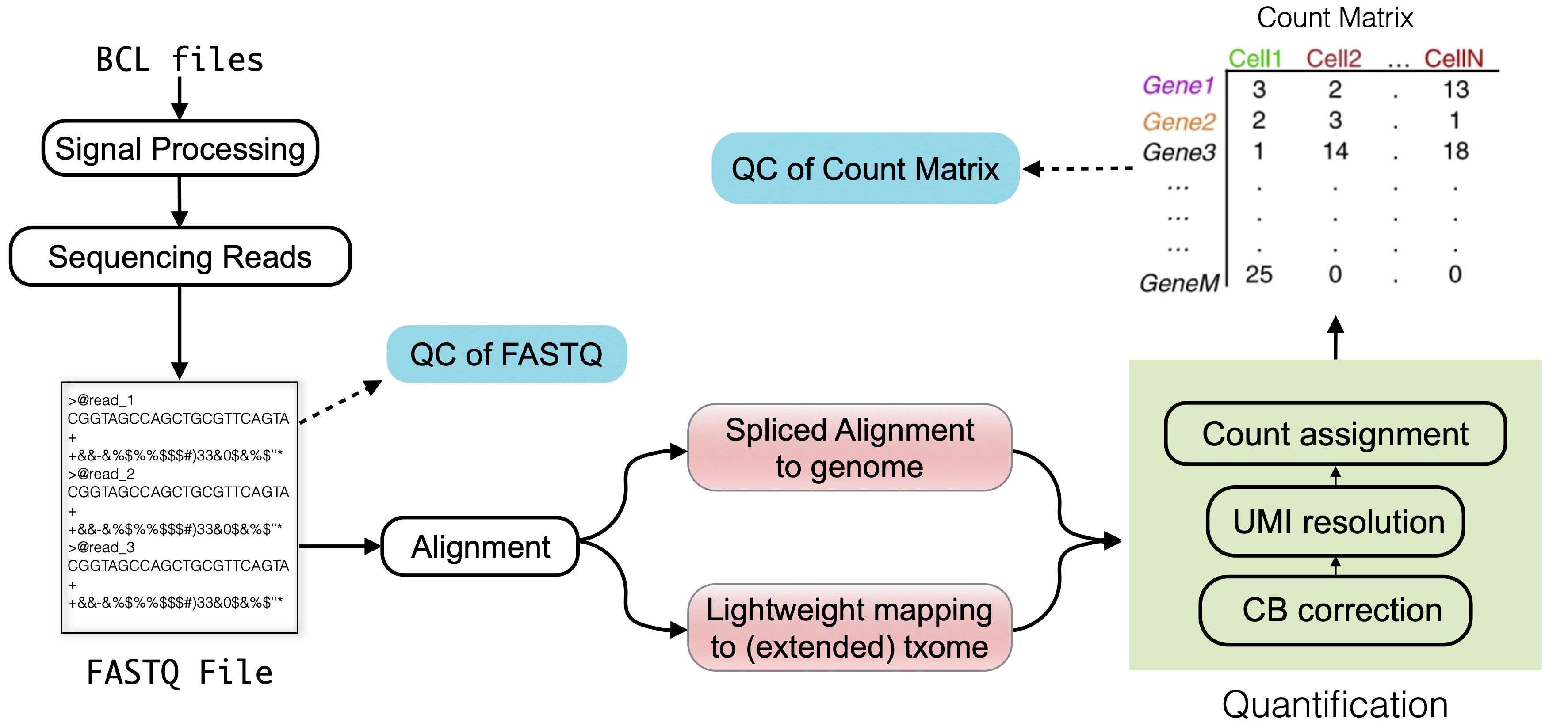 Chapter Overview